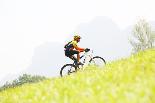 Image of someone riding a bike up a hill